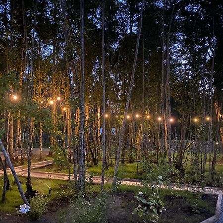 Boker Tov Pucon Hotel Ngoại thất bức ảnh