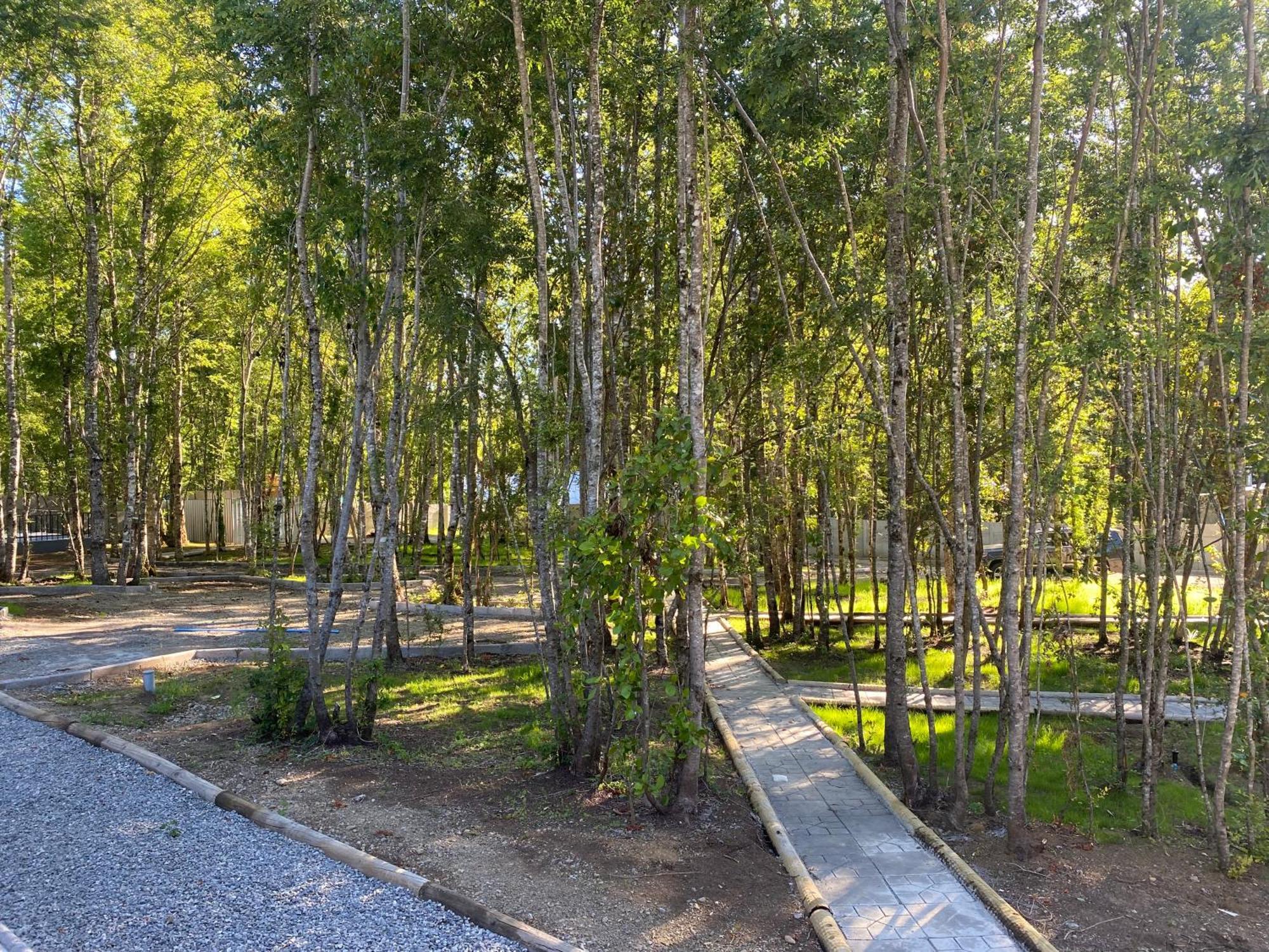 Boker Tov Pucon Hotel Ngoại thất bức ảnh