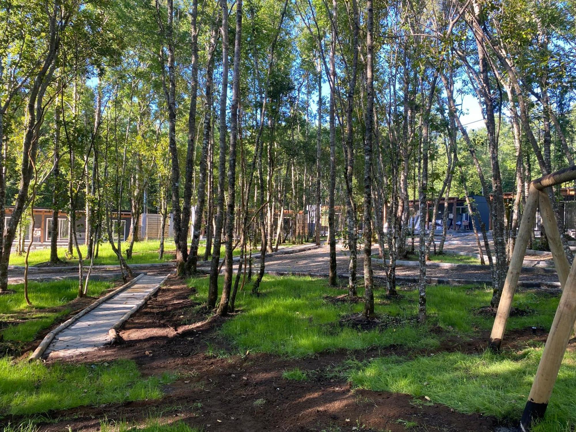 Boker Tov Pucon Hotel Ngoại thất bức ảnh