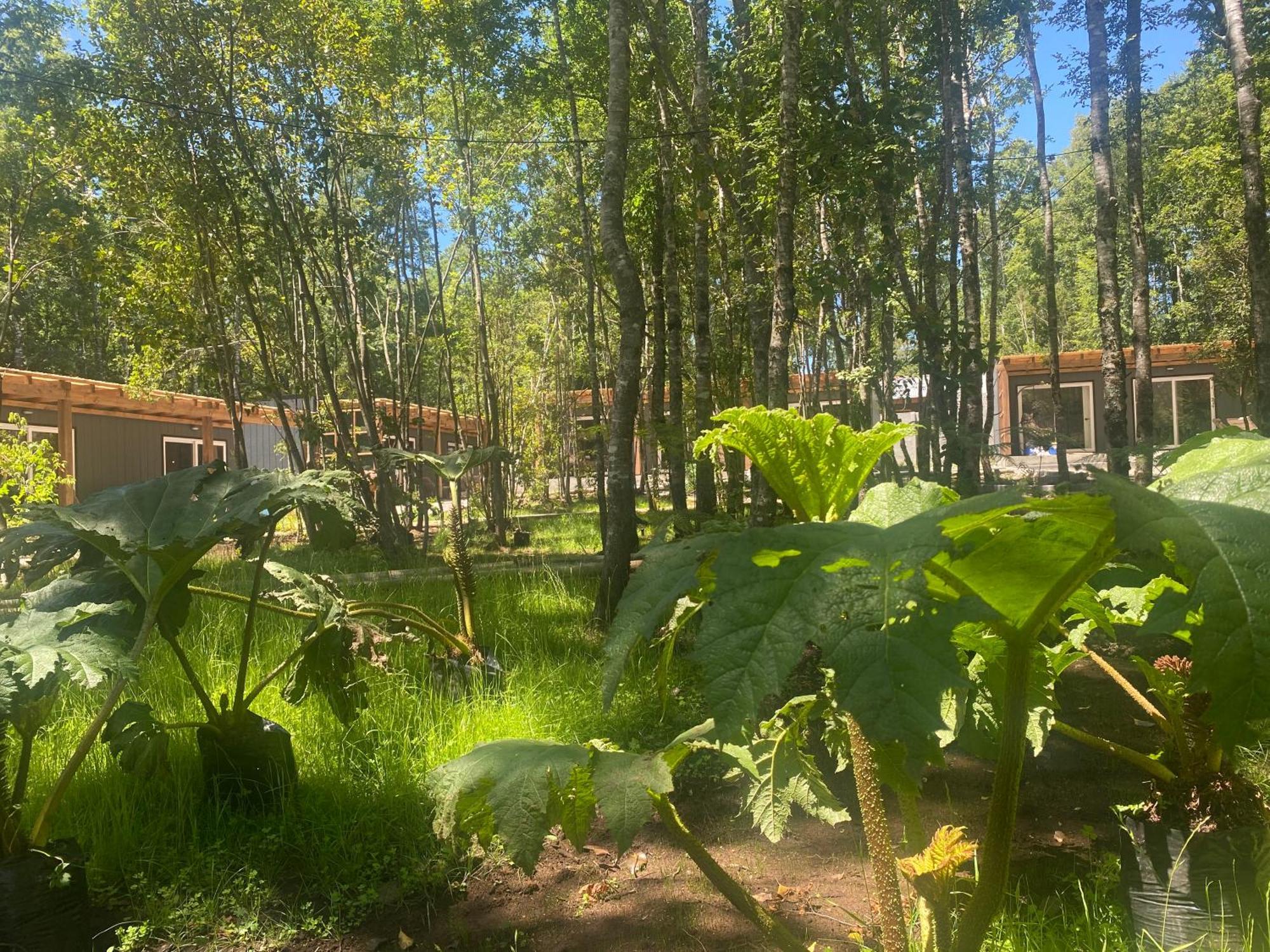 Boker Tov Pucon Hotel Ngoại thất bức ảnh